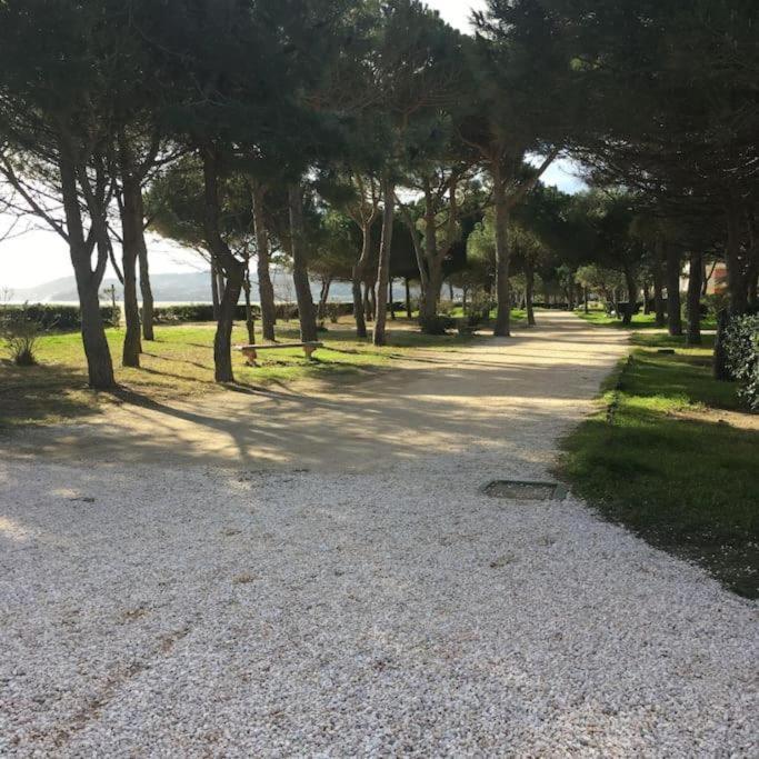F3 Classe Meuble Tourisme "Gites De France" A 80 Metres De La Plage 滨海阿热莱斯 外观 照片